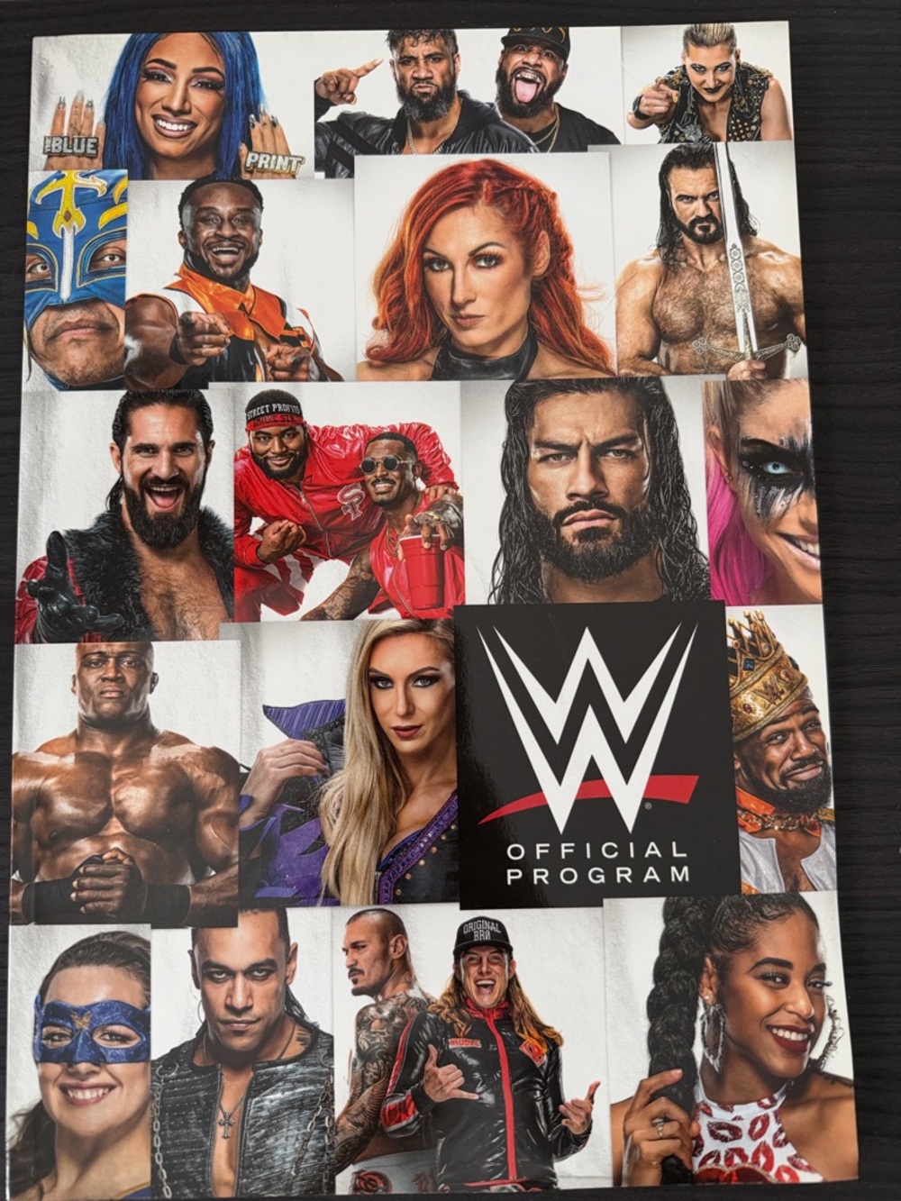 Official WWE Collage Program
